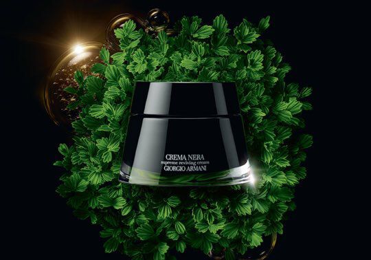 A sleek, black jar of Giorgio Armani's "Crema Nera" skincare cream is displayed on a bed of lush green leaves, set against a dark background.