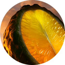 Calabrian bergamot citrus slice on a warm amber sky background — Calabrian bergamot essentielle top note of I Will Eau de Parfum by Giorgio Armani.