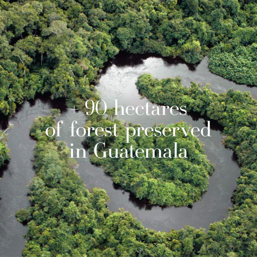 Aerial view of lush green forest and winding river in Guatemala, with text indicating over 90 hectares of forest preserved.
