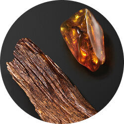 Amberwood and patchouli on black, highlighting the warm, woody notes in Armani perfume.