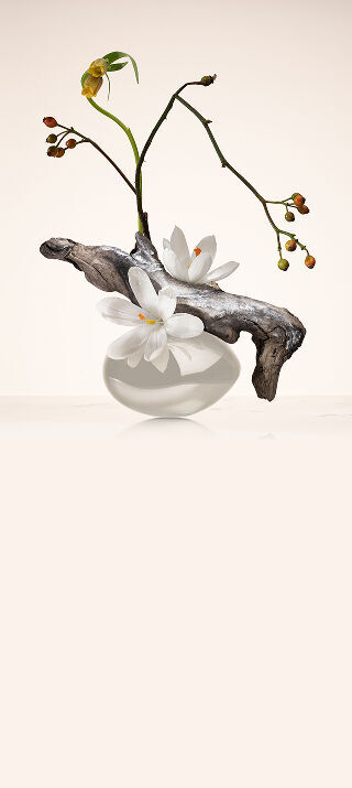 Ikebana with Oud, Saffron and Jasmine flower accompanied by text explaining the "Olfaction Story" of OUD NACRE.