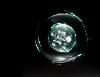 Un beaker di vetro trasparente contenente acqua con bolle e una pianta acquatica visibile all'interno.