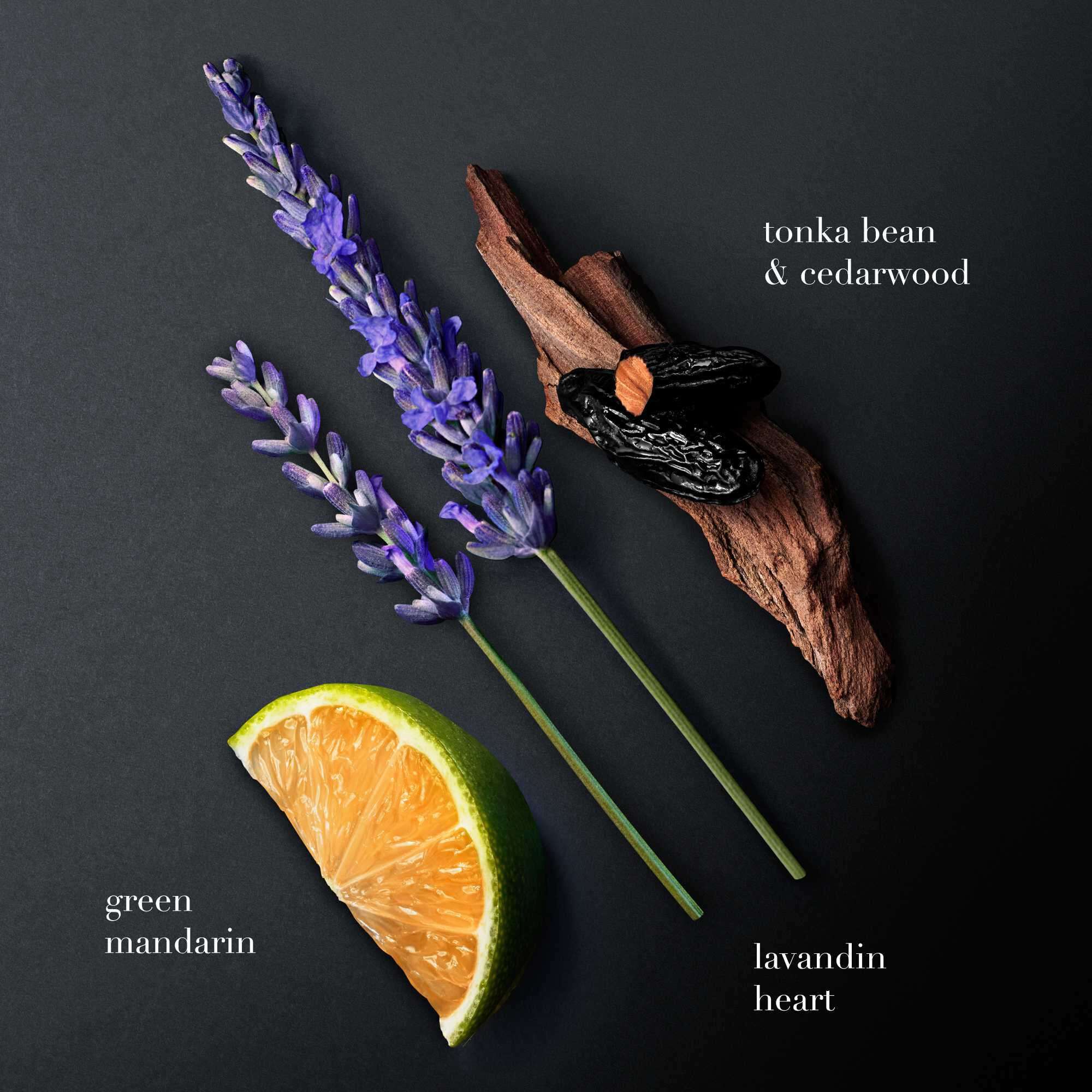 Una composizione piatta su uno sfondo scuro mostra tre ingredienti chiave della fragranza: mandarino verde, lavandino viola (lavanda) e legno di cedro con lucidi fagioli tonka neri. Ogni elemento e etichettato: "mandarino verde", "cuore di lavandino" e "fava tonka & legno di cedro".