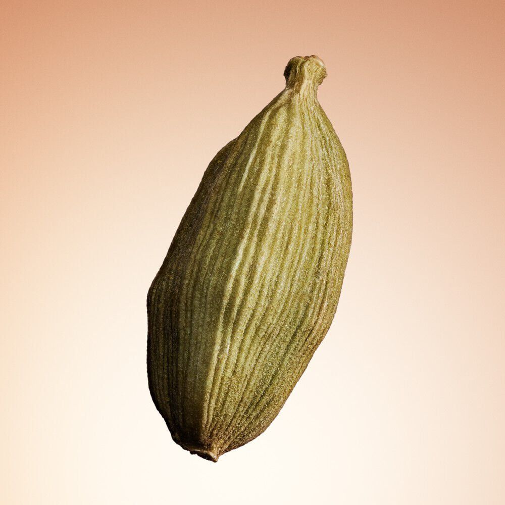 Armani/Prive Santal Dān Shā: close-up of cardamom pod, emphasizing the fragrance’s spicy, sophisticated character.