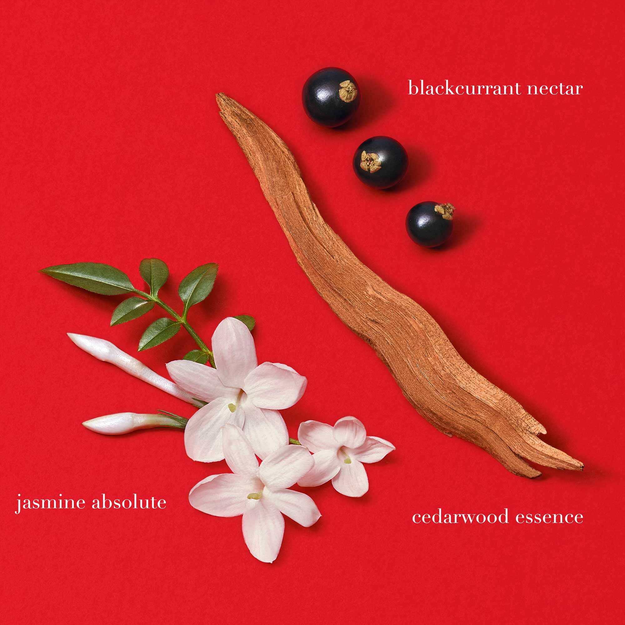 Si Passione Eau de Parfum - Ricaricabile