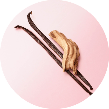 Due baccelli di vaniglia e un pezzo di legno di vaniglia su uno sfondo rosa.
