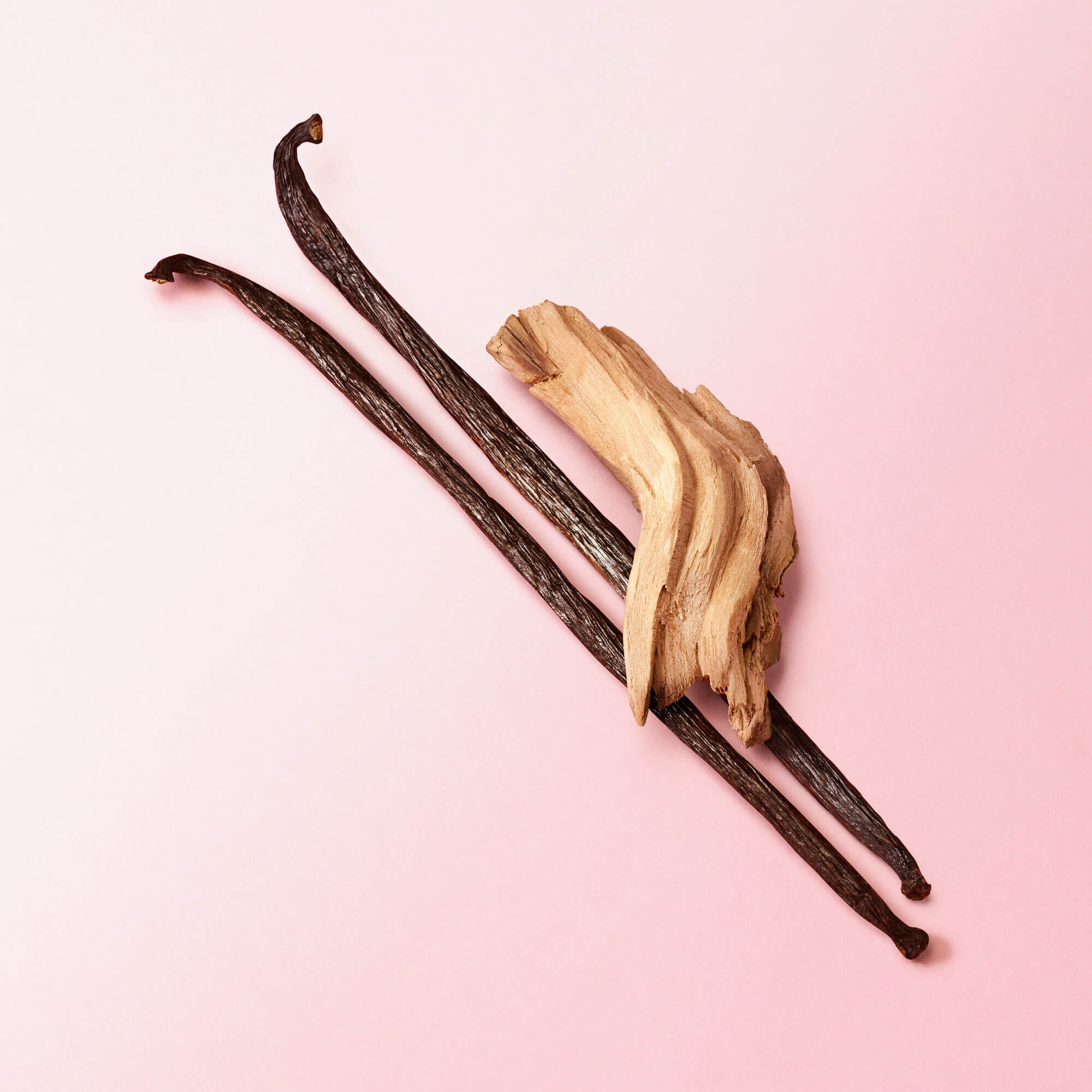Baccelli di vaniglia e legno di vaniglia su sfondo rosa, evidenziando ingredienti naturali e aromatici.
